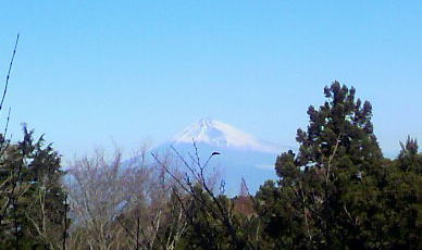 伊豆高原　ギャラリー　ショップ　ギャラリーぶなの木　　富士山