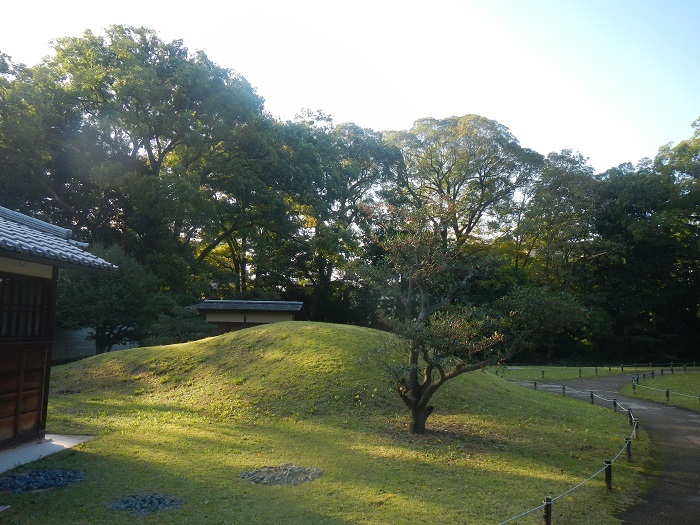 なだらか 杜の木漏れ日 福岡造園blog