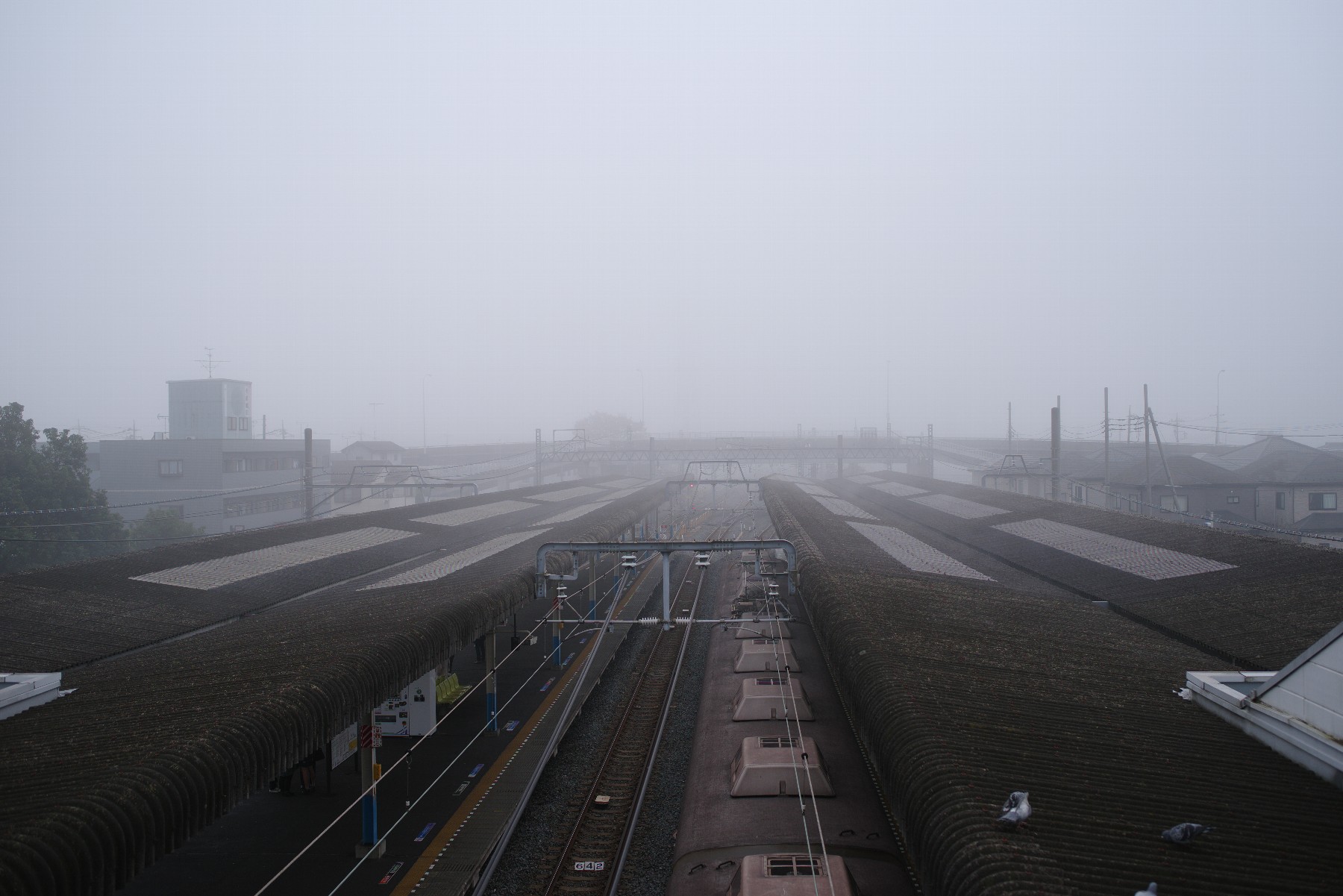 霧に煙る南栗橋駅