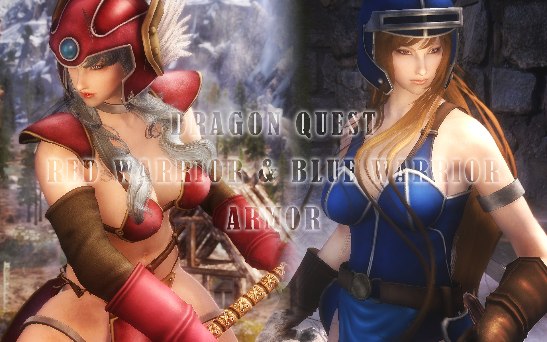 Dragon Quest Red Warrior & Blue Warrior Armor