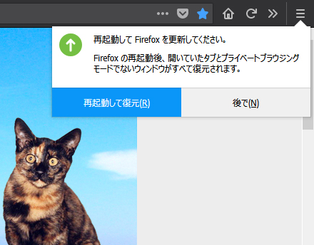 Mozilla Firefox 57.0 Beta 14
