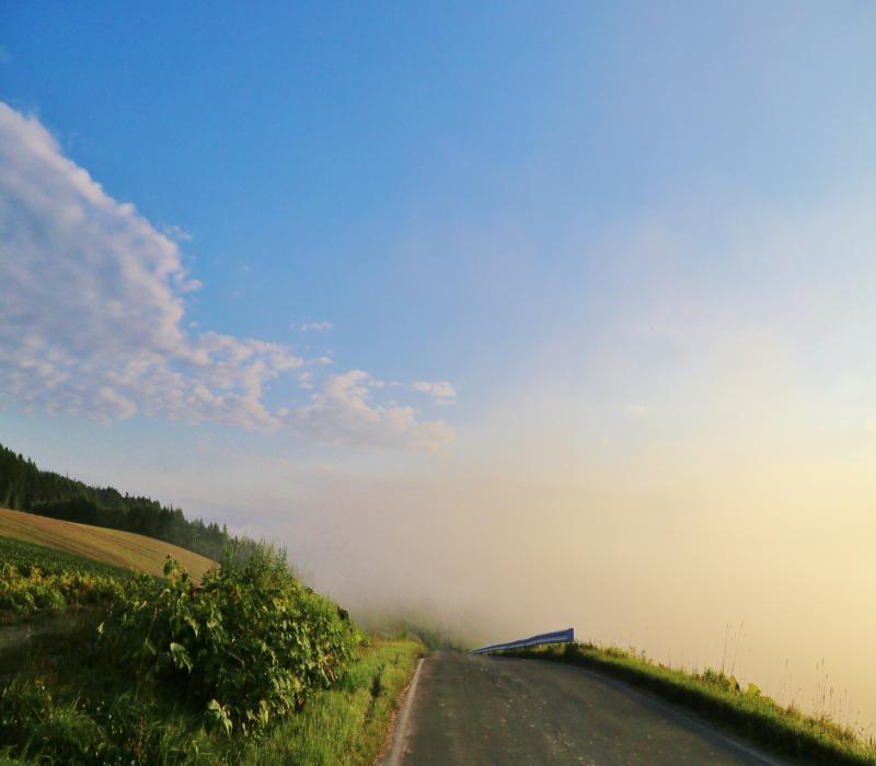 朝霧の丘２