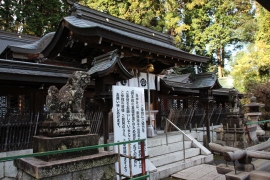 タヌキいっぱい新宮神社１０