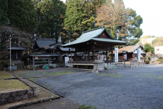 タヌキいっぱい新宮神社１２