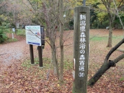 弥彦城山森林公園「新潟県森林浴の森百選３０」
