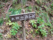弥彦城山森林公園の史跡の森-3