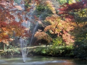 加茂公園の噴水-4