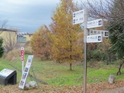 遺跡の森標識