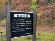 縄文の森標識