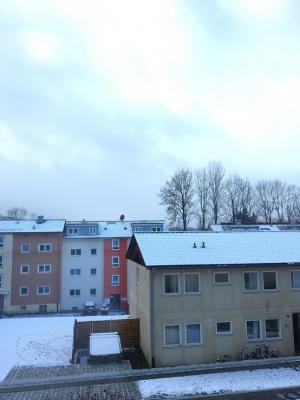 ドイツの初雪