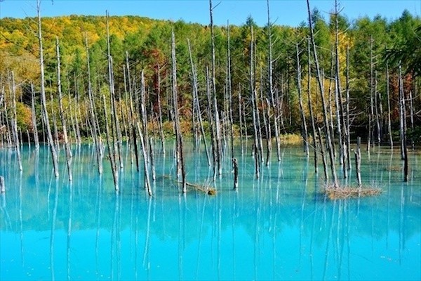 biei-blue-pond-image08.jpg
