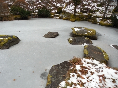 水神池凍結